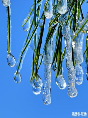 【生活的寫意】冰雪世界