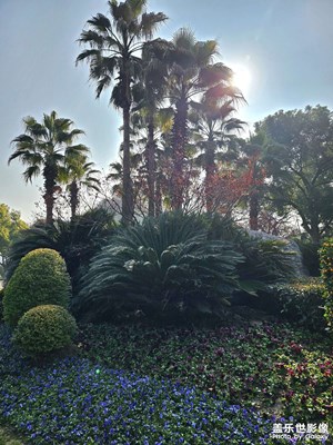 【生活的寫意】+多彩時光