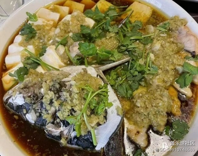 【三餐茶飯】放放風