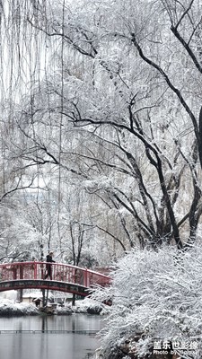冬天不一樣雪景
