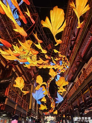 一年一度的豫園燈會