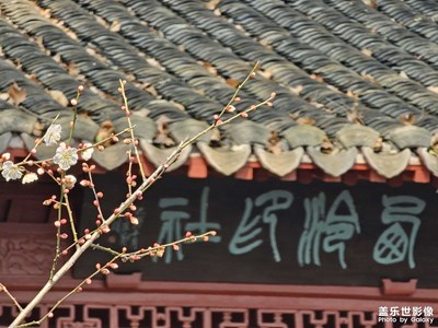 西泠印社和西湖