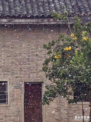 原相機(jī)和exp