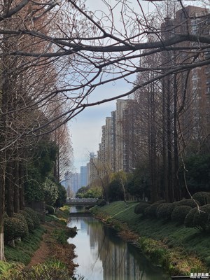 【生活的寫意】+午后隨拍