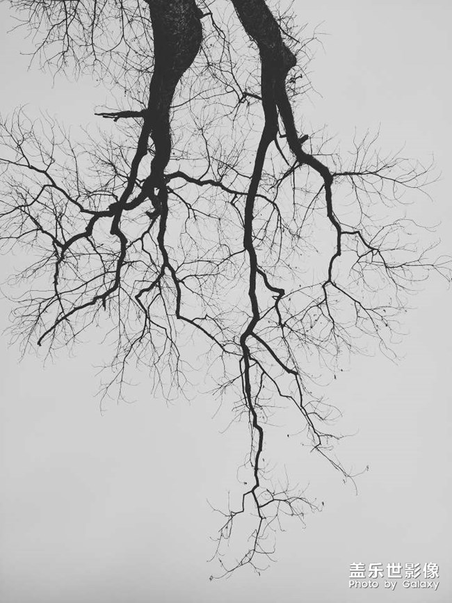 精品大咖秀 第三十一期:立春 精品大咖秀 第三十一期:立春