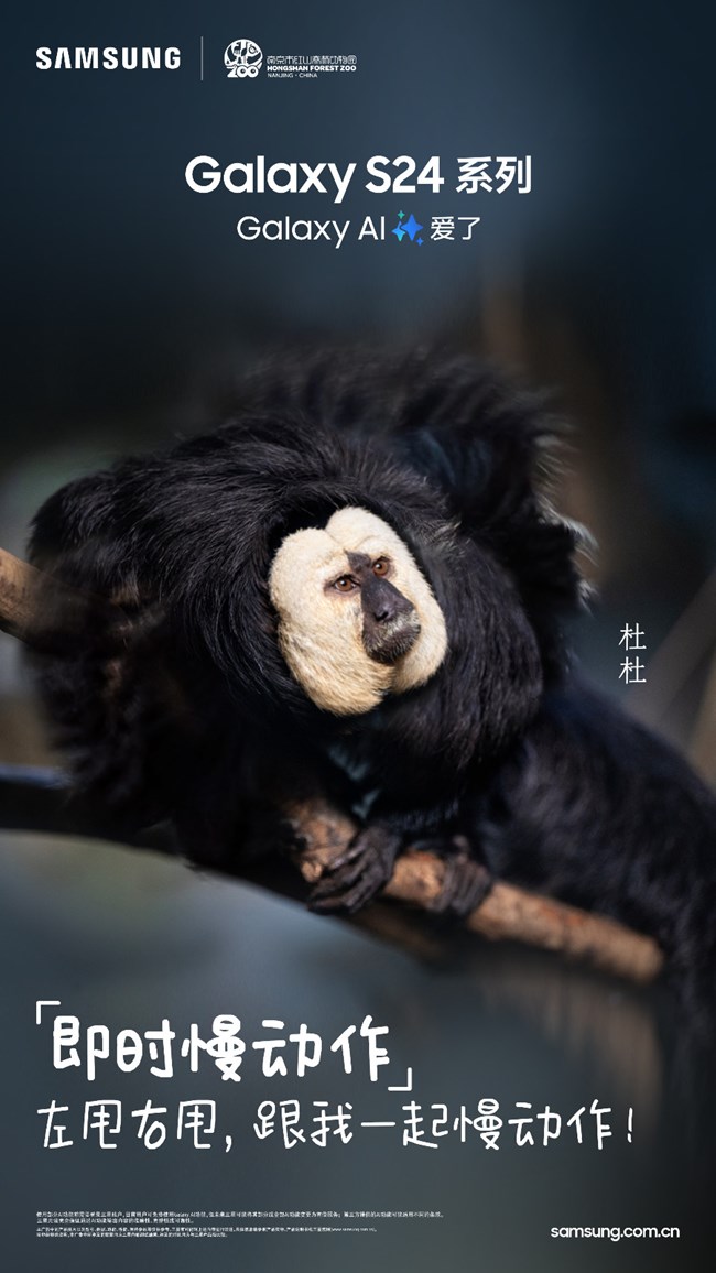 快来围观南京红山森林动物园“全明星阵容”