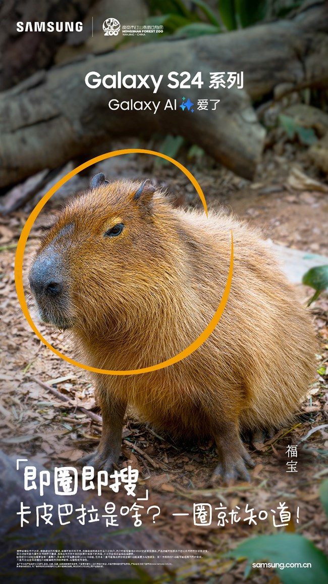 快來圍觀南京紅山森林動物園“全明星陣容”