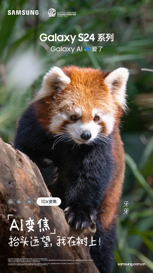 快来围观南京红山森林动物园“全明星阵容”