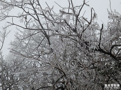 【生活的寫意】+冰天雪地