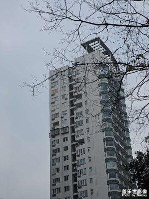 【春運(yùn)】回家