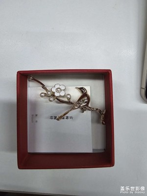 今年會(huì)更換新的S24系列手機(jī)嗎？