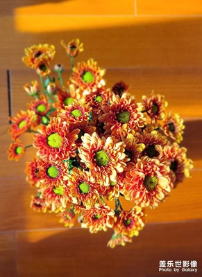 新年祝大家繁花似錦