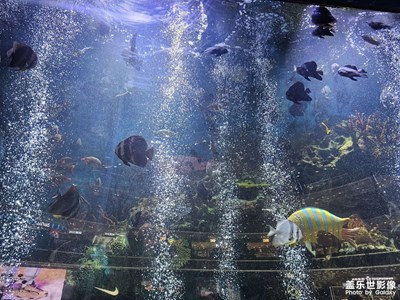 【春運】+回家啦