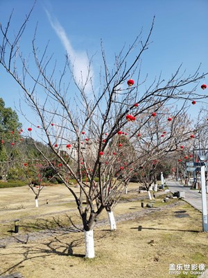 【春運(yùn)】過(guò)年啦