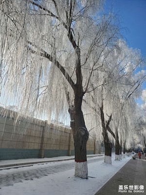 雪景