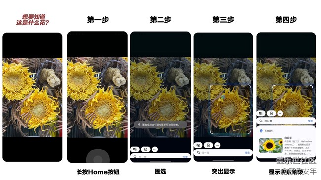 【Galaxy AI系列】Galaxy S24 Ultra的“即圈即搜”真的太方便啦！