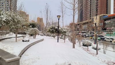 【春運(yùn)】下雪天