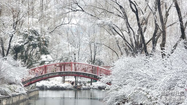 精品大咖秀 第三十二期：春節(jié)