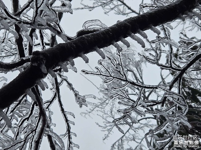 精品大咖秀 第三十二期：春節(jié)