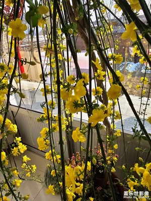 【春運(yùn)】+回家啦