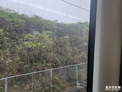 【春運(yùn)】+春節(jié)回家