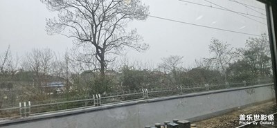 【春運(yùn)】+回家之路