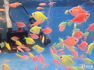 【春運】+春運到了