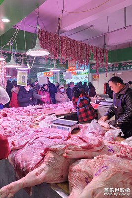 【龍騰新春】+熱鬧的菜市