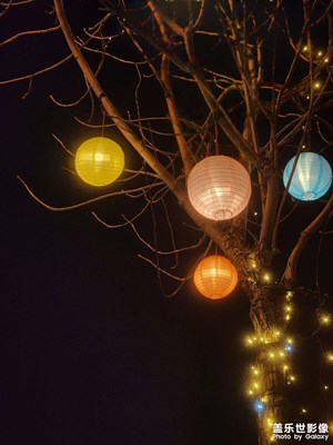 【我家鄉(xiāng)的春節(jié)】秦淮燈會