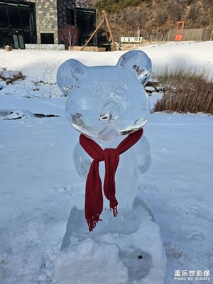 【我家鄉(xiāng)的春節(jié)】+冰雕