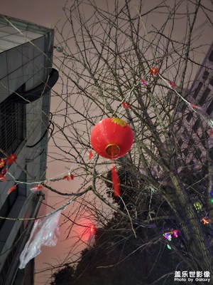 【我家鄉(xiāng)的春節(jié)】福滿天