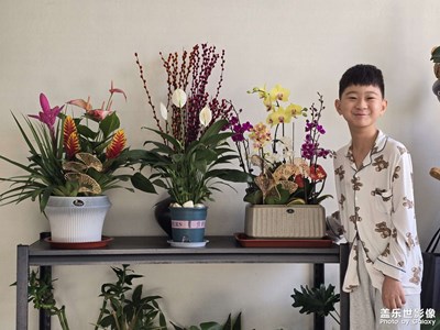 【我家鄉(xiāng)的春節(jié)】大寶和他的年花