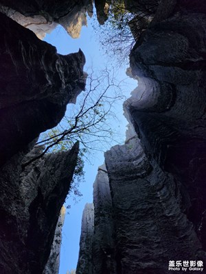 【我家鄉(xiāng)的春節(jié)】石林游