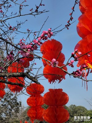 【我家鄉(xiāng)的春節(jié)】龍年吉祥