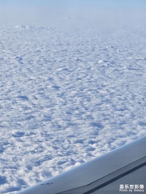 【龍騰新春】+騰云駕霧