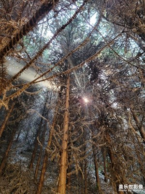 【我家鄉(xiāng)的春節(jié)】親近自然