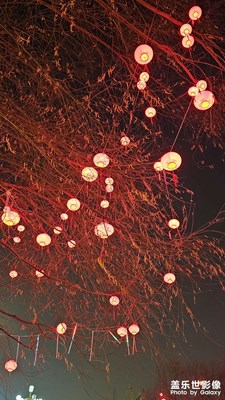 【我家鄉(xiāng)的春節(jié)】+大紅燈籠高高掛