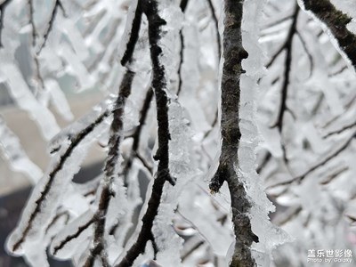 【龍騰新春】+點(diǎn)點(diǎn)滴滴