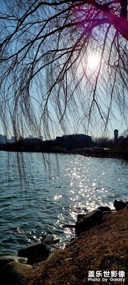 所謂波光粼粼就是這樣吧