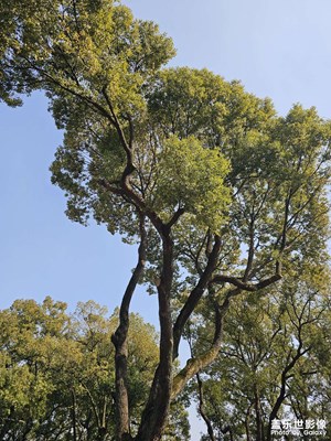 【返程路上】向著遠(yuǎn)方出發(fā)