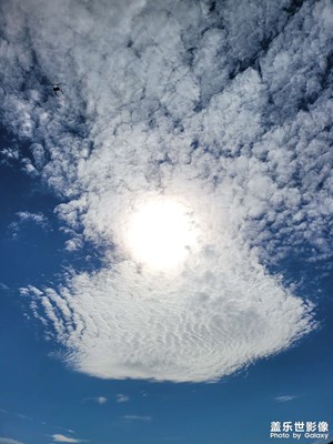 【返程路上】艷陽漫天