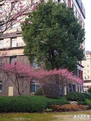 【返程路上】無需返程
