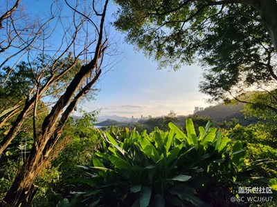 年后深圳好天氣