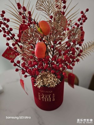 【我家鄉(xiāng)的春節(jié)】+節(jié)日氣氛