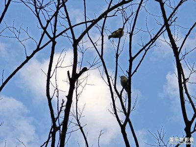 龍年開工首日隨拍