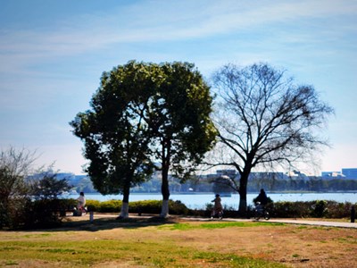 【我家鄉(xiāng)的春節(jié)】+陽光正好