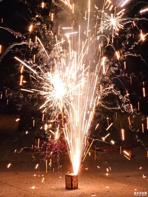 【我家鄉(xiāng)的春節(jié)】逛廟會