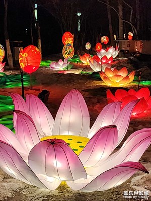 【我家鄉(xiāng)的春節(jié)】秦淮燈會（三）