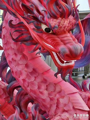 【我家鄉(xiāng)的春節(jié)】+紅紅火火過大年