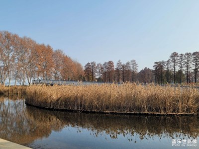 【返程路上】意境美